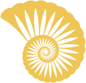 DDB_ConchShellArt_Tan